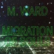 Le texte musical RIO DRONE de M. WARD est également présent dans l'album Migration stories (2020)