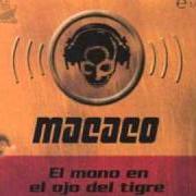 Le texte musical CAIGAN QUE CAIGAN de MACACO est également présent dans l'album El mono en el ojo del tigre (1999)