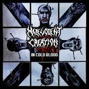 Le texte musical COMPULSIVE de MALEVOLENT CREATION est également présent dans l'album In cold blood (1997)