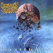 Le texte musical DISCIPLE OF ABHORRENCE de MALEVOLENT CREATION est également présent dans l'album Stillborn (1993)