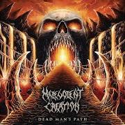 Le texte musical IMPERIUM (KILL FORCE RISING) de MALEVOLENT CREATION est également présent dans l'album Dead man's path (2015)