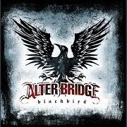 Le texte musical THE DAMAGE DONE de ALTER BRIDGE est également présent dans l'album Blackbird (2007)