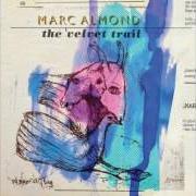 Le texte musical WINTER SUN de MARC ALMOND est également présent dans l'album The velvet trail (2015)