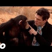 Le texte musical AUPRÈS DE TOI MON FRÈRE de MARC LAVOINE est également présent dans l'album Je descends du singe (2012)