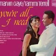 Le texte musical THAT'S HOW IT IS (SINCE YOU'VE BEEN GONE) de MARVIN GAYE est également présent dans l'album You're all i need [with tammi terrell] (1968)