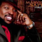 Le texte musical POSSESS THE LAND de MARVIN SAPP est également présent dans l'album Thirsty (2007)