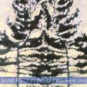 Le texte musical PUT YOUR HAIR DOWN de MATT POND PA est également présent dans l'album I thought you were sleeping ep (2001)