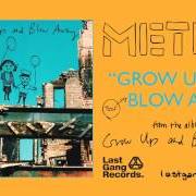 Le texte musical ROCK ME NOW de METRIC est également présent dans l'album Grow up and blow away (2007)