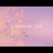 Le texte musical BURY ME MY LOVE de METRO STATION est également présent dans l'album Bury me my love (2017)