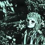 Le texte musical COUCOU ME REVOILOU de MICHEL POLNAREFF est également présent dans l'album Coucou me revoilou (1978)