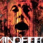 Le texte musical MOTHER (ACOUSTIC) de MINDFEED est également présent dans l'album Ten miles high (1998)