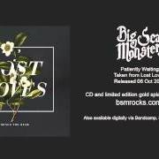 Le texte musical ELECTRIC RAINBOW de MINUS THE BEAR est également présent dans l'album Lost loves (2014)