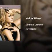 Le texte musical MAINTAIN THE PAIN de MIRANDA LAMBERT est également présent dans l'album Revolution (2009)