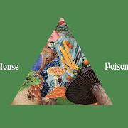 Le texte musical I'M STILL HERE de MODEST MOUSE est également présent dans l'album Poison the well (2019)