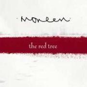 Le texte musical THIS IS ALL BIGGER THAN ME de MONEEN est également présent dans l'album The red tree (2006)