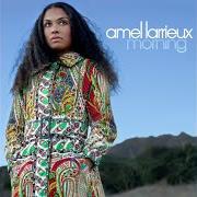 Le texte musical JUST ONCE de AMEL LARRIEUX est également présent dans l'album Morning (2006)