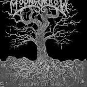 Le texte musical SUDEN TUNTI de MOONSORROW est également présent dans l'album Jumalten aika (2016)