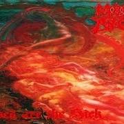 Le texte musical IN REMEMBRANCE de MORBID ANGEL est également présent dans l'album Blessed are the sick (1991)