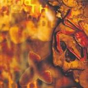Le texte musical GODS OF ETERNITY de MORBID DEATH est également présent dans l'album Echoes of solitude (1997)