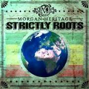 Le texte musical WE ARE WARRIORS de MORGAN HERITAGE est également présent dans l'album Strictly roots (2015)