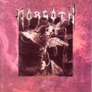 Le texte musical DARKNESS de MORGOTH est également présent dans l'album Cursed (1991)