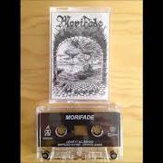 Le texte musical CRYPTIC SIGNS de MORIFADE est également présent dans l'album The hourglass (1995)