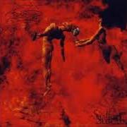 Le texte musical MY SULLEN SULCUS de MOURNING BELOVETH est également présent dans l'album The sullen sulcus (2002)