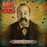 Le texte musical WHAT IF WE WERE NEW? de MR. BIG est également présent dans l'album ...The stories we could tell (2014)