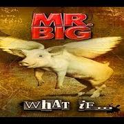Le texte musical HOW DID I GIVE MYSELF AWAY de MR. BIG est également présent dans l'album Actual size (2001)