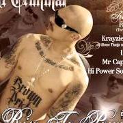 Le texte musical DROP IT-N-ROCK IT de MR. CRIMINAL est également présent dans l'album Rise to power (2008)
