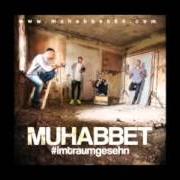 Le texte musical DEINE LIEBE de MUHABBET est également présent dans l'album Imtraumgesehn (2013)