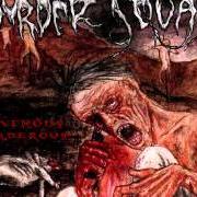 Le texte musical MASTERPIECE IN MORBIDITY de MURDER SQUAD est également présent dans l'album Ravenous, murderous (2003)