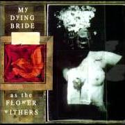 Le texte musical SEAR ME de MY DYING BRIDE est également présent dans l'album As the flower withers (1992)