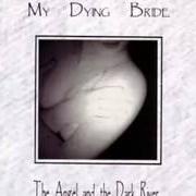 Le texte musical THE CRY OF MANKIND de MY DYING BRIDE est également présent dans l'album The angel and the dark river (1995)