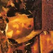 Le texte musical LE CERF MALADE de MY DYING BRIDE est également présent dans l'album The thrash of the naked limbs (1993)