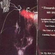Le texte musical THE GRIEF OF AGE de MY DYING BRIDE est également présent dans l'album Towards the sinister (1990)