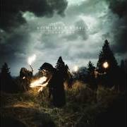 Le texte musical DIGITAL REBIRTH de MYCHILDREN MYBRIDE est également présent dans l'album Lost boy (2010)