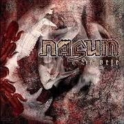 Le texte musical FANTASIBILDER de NASUM est également présent dans l'album Grind finale (2005)