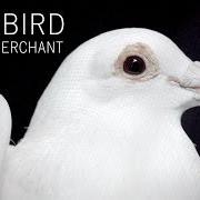 Le texte musical LADYBIRD de NATALIE MERCHANT est également présent dans l'album Natalie merchant (2014)