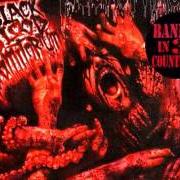 Le texte musical AND YOU WILL LIVE IN TERROR de NECROPHAGIA est également présent dans l'album Black blood vomitorium (1999)