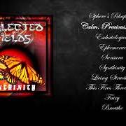 Le texte musical BREATHE de NEGLECTED FIELDS est également présent dans l'album Synthinity (1997)