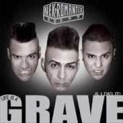 Le texte musical FLOWERS ARE SLOW de NEKROMANTIX est également présent dans l'album Life is a grave & i dig it! (2007)