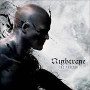 Le texte musical THE PURITAN de NIGHTRAGE est également présent dans l'album The puritan (2015)