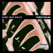 Le texte musical THAT'S WHAT I GET de NINE INCH NAILS est également présent dans l'album Purest feeling (1994)