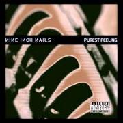 Le texte musical KINDA I WANT TO de NINE INCH NAILS est également présent dans l'album Purest feeling (1994)