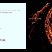 Le texte musical THE DOWNWARD SPIRAL (A GILDED SICKNESS) de NINE INCH NAILS est également présent dans l'album Recoiled (2014)