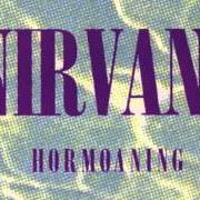 Le texte musical SON OF A GUN de NIRVANA est également présent dans l'album Hormoaning (1992)