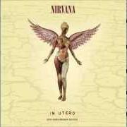 Le texte musical VERY APE de NIRVANA est également présent dans l'album In utero 2013 special 20th edition (2013)