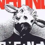 Le texte musical I AM WRONG de NOMEANSNO est également présent dans l'album Wrong (1988)