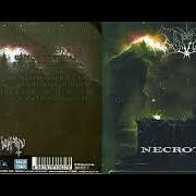 Necrotical